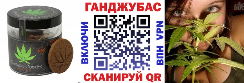 ОМГ ОМГ   Злынка  это состав  купить наркоту  Cannafood марихуана 