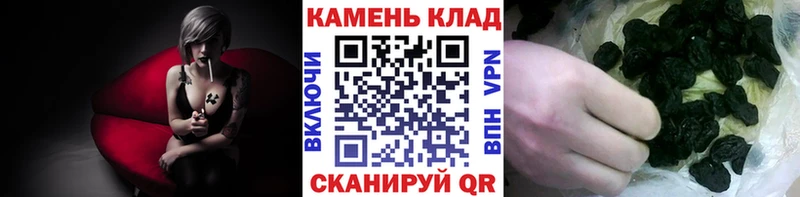 ОМГ ОМГ ссылки  Злынка  ГАШИШ hashish 