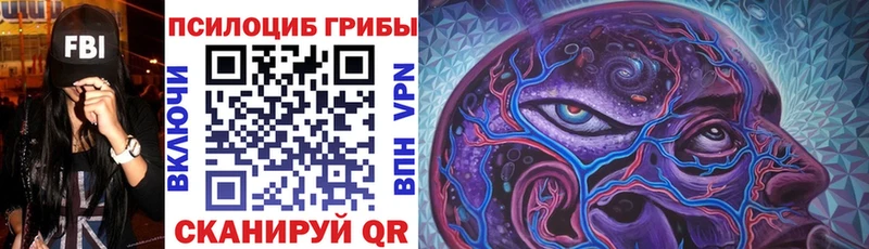 Псилоцибиновые грибы прущие грибы  Злынка 